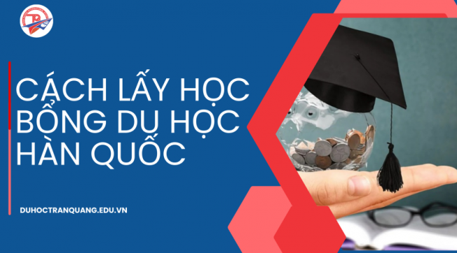 Trần Quang chia sẻ cách lấy học bổng du học Hàn Quốc dễ dàng từ A-Z!